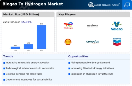 Biogas To Hydrogen Market Infographic
