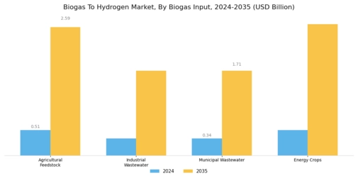 Biogas To Hydrogen Market Segment Image 0
