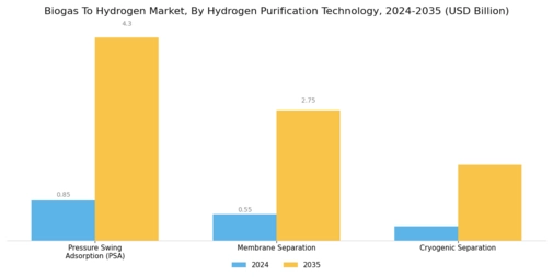 Biogas To Hydrogen Market Segment Image 1