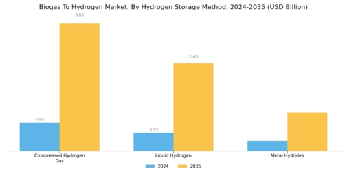 Biogas To Hydrogen Market Segment Image 2