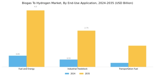 Biogas To Hydrogen Market Segment Image 3