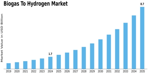 Biogas To Hydrogen Market Size
