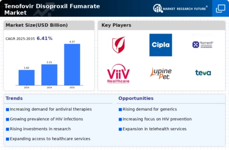 Tenofovir Disoproxil Fumarate Market Infographic