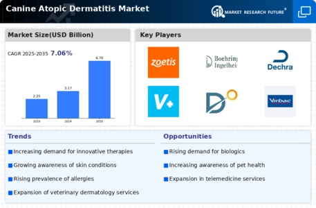 Canine Atopic Dermatitis Market Infographic