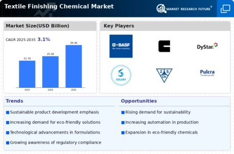 Textile Finishing Chemical Market Infographic
