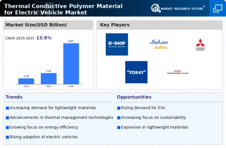 Thermal Conductive Polymer Material For Electric Vehicle Market Infographic