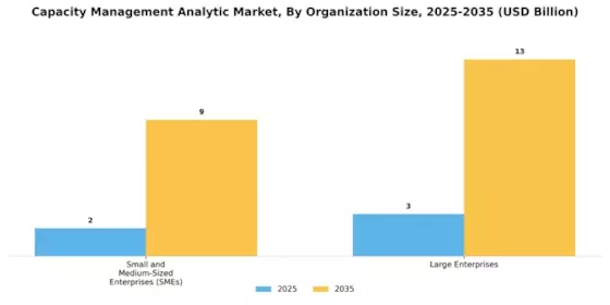 Capacity Management Analytic Market Segment Image 1