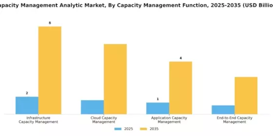 Capacity Management Analytic Market Segment Image 3