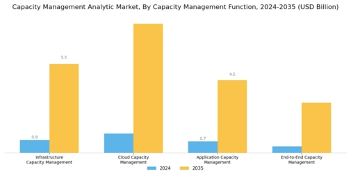 Capacity Management Analytic Market Segment Image 3