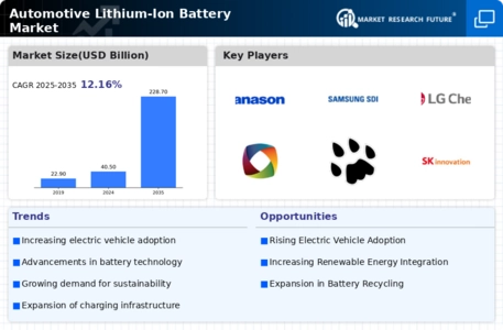 Automotive Lithium Ion Battery Market
 Infographic