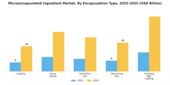 Microencapsulated Ingredient Market Segment Image 1