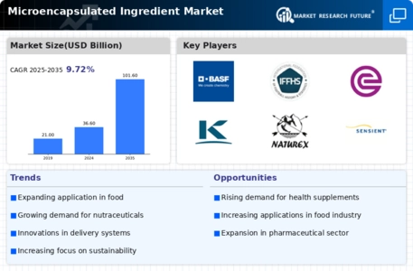Microencapsulated Ingredient Market Infographic