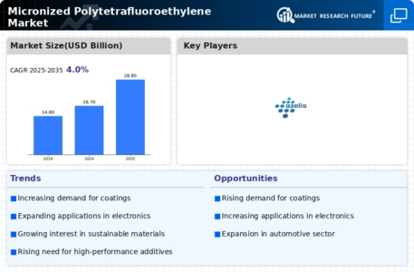 Micronized Polytetrafluoroethylene Market Infographic