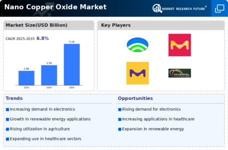 Nano Copper Oxide Market Infographic