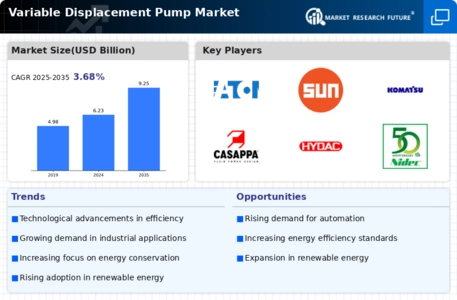 Variable Displacement Pump Market Infographic