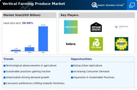 Vertical Farming Produce Market Infographic