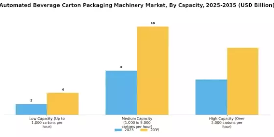 Automated Beverage Carton Packaging Machinery Market Segment Image 3