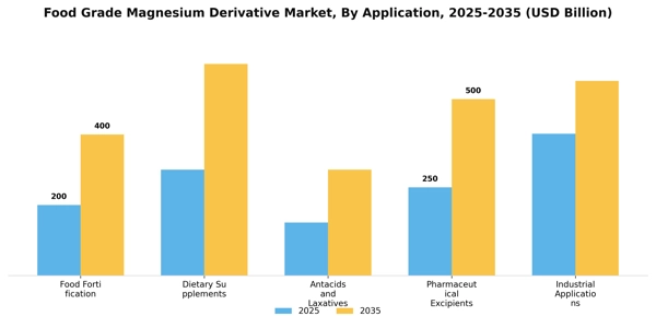 Food Grade Magnesium Derivative Market Segment Image 0