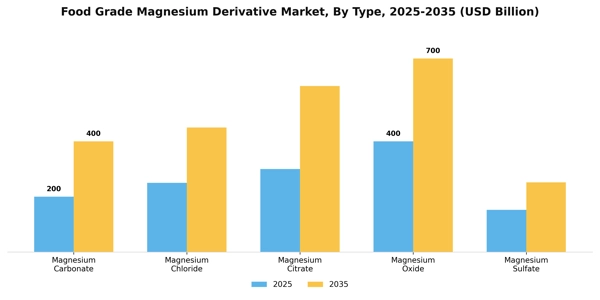 Food Grade Magnesium Derivative Market Segment Image 4