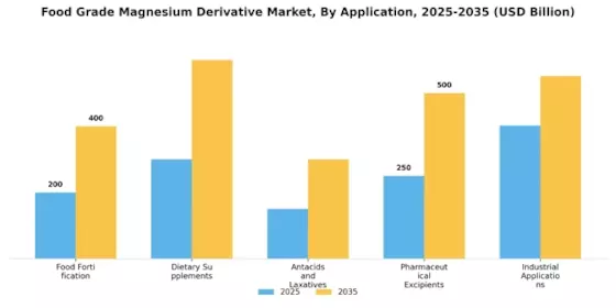 Food Grade Magnesium Derivative Market Segment Image 2