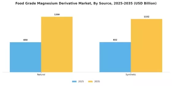 Food Grade Magnesium Derivative Market Segment Image 3