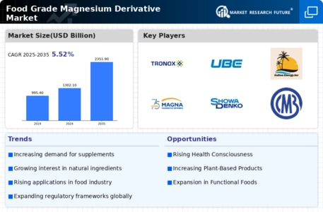 Food Grade Magnesium Derivative Market Infographic