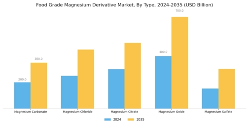 Food Grade Magnesium Derivative Market Segment Image 1