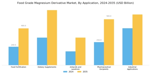 Food Grade Magnesium Derivative Market Segment Image 2