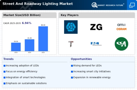 Street And Roadway Lighting Market
 Infographic