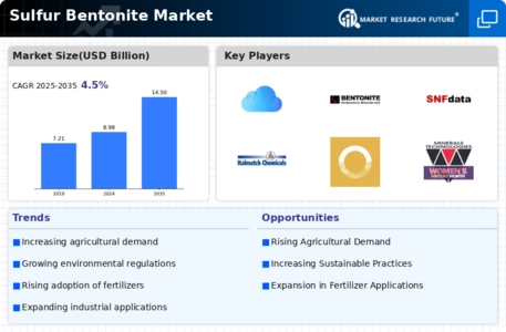 Sulfur Bentonite Market
 Infographic