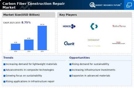 Carbon Fiber Construction Repair Market Infographic