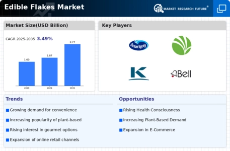 Edible Flakes Market Infographic