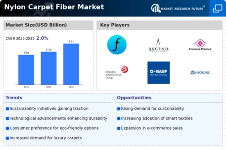 Nylon Carpet Fiber Market Infographic