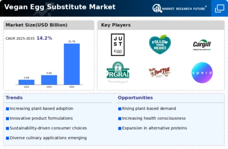 Vegan Egg Substitute Market Infographic