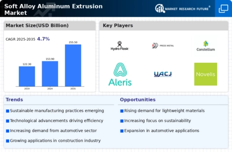 Soft Alloy Aluminum Extrusion Market Infographic