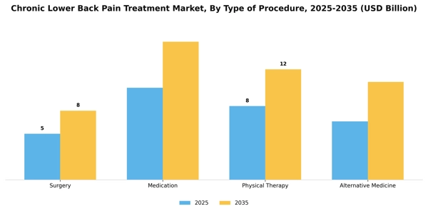 Chronic Lower Back Pain Treatment Market Segment Image 3