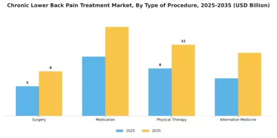 Chronic Lower Back Pain Treatment Market Segment Image 0