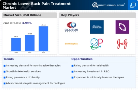 Chronic Lower Back Pain Treatment Market Infographic