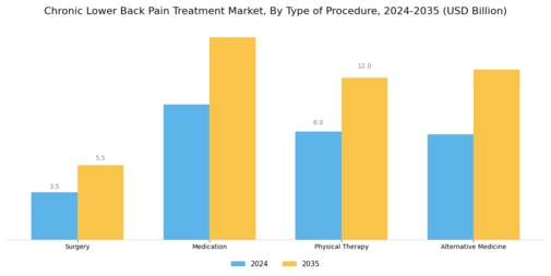 Chronic Lower Back Pain Treatment Market Segment Image 0