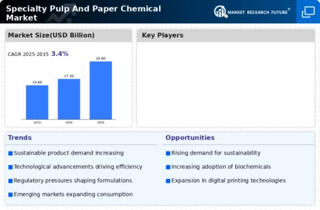 Specialty Pulp And Paper Chemical Market Infographic