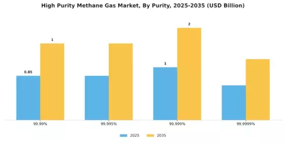 High Purity Methane Gas Market Segment Image 0