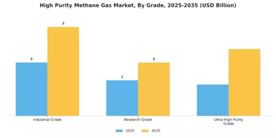 High Purity Methane Gas Market Segment Image 2