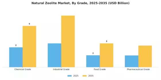 Natural Zeolite Market Segment Image 3