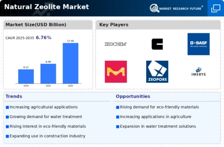 Natural Zeolite Market Infographic