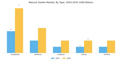Natural Zeolite Market Segment Image 0
