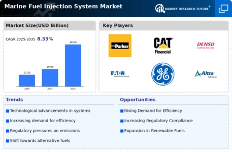 Marine Fuel Injection System Market Infographic