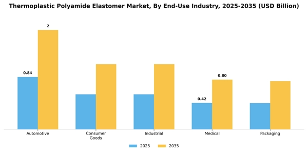 Thermoplastic Polyamide Elastomer Market Segment Image 1