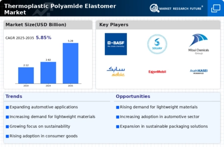 Thermoplastic Polyamide Elastomer Market Infographic
