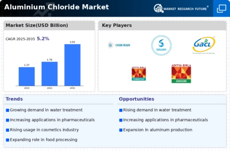 Aluminium Chloride Market Infographic