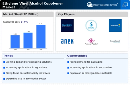 Ethylene Vinyl Alcohol Copolymer Market Infographic